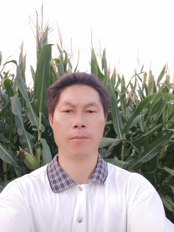 四海游龙的第一张照片--永春相亲网