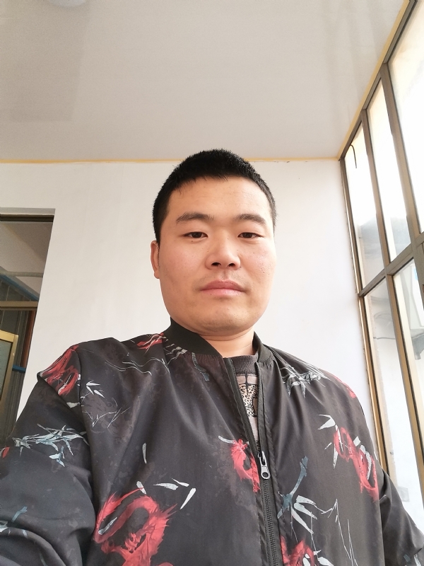 会飞的猪的第一张照片--永春相亲网