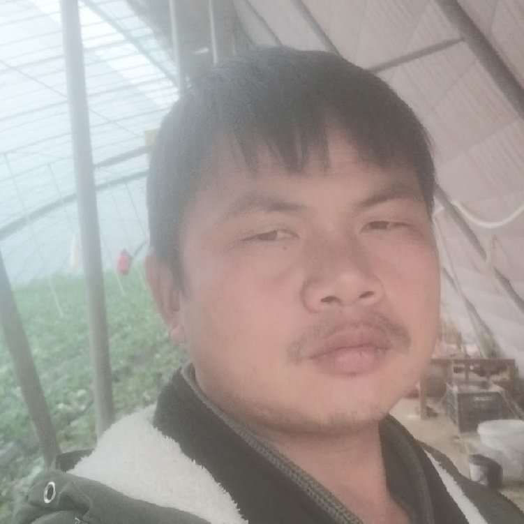 孤狼‘的第一张照片--永春相亲网