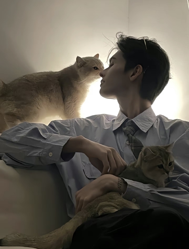 怪猫的第一张照片--永春相亲网